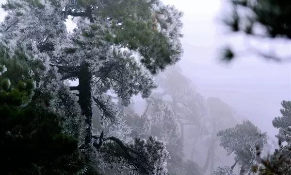 网球运动员营救